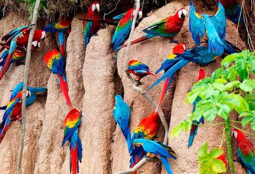 Отель Golden Inn