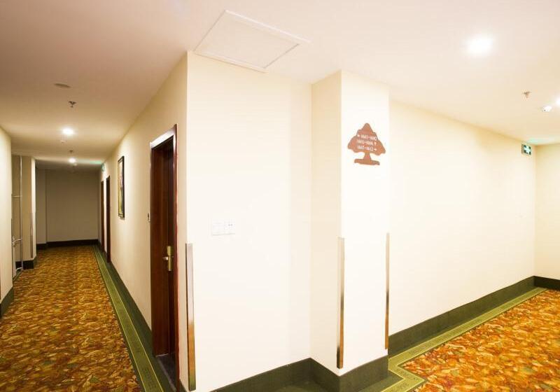 בית מלון כפרי Greentree Inn Shandong Zibo Zichuan District Flyover Business