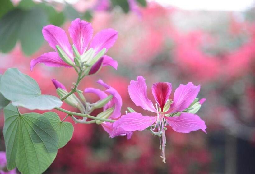 فندق Jaswant Bhawan