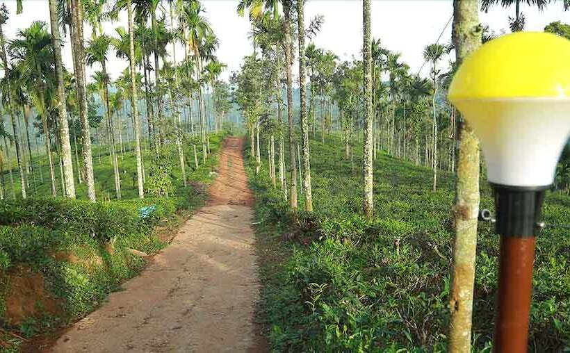 New Line Gods Land Resort