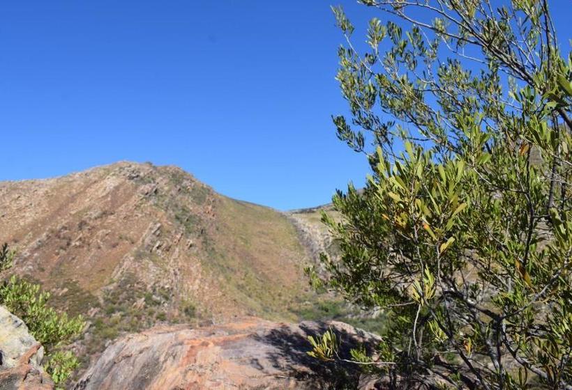 אתר נופש The Baths Natural Hot Springs