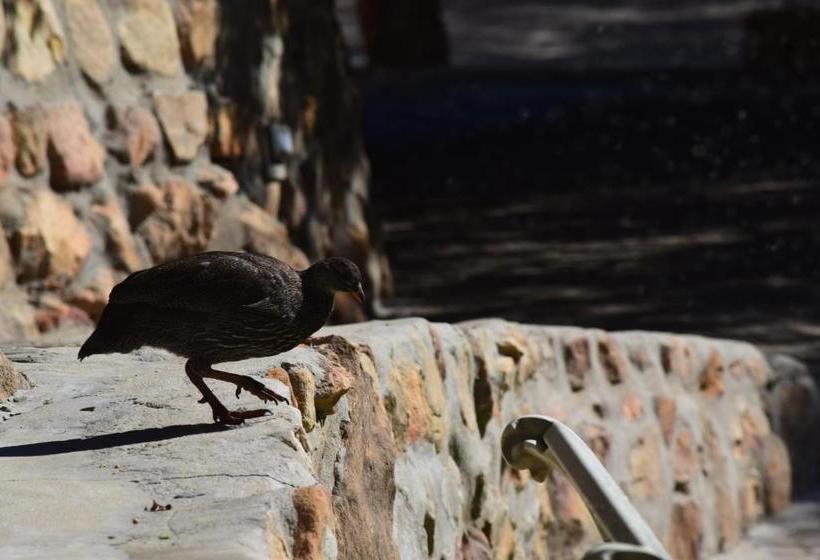 אתר נופש The Baths Natural Hot Springs