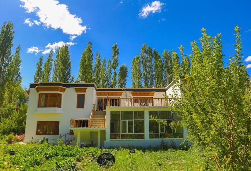 Sand Dunes View Resort