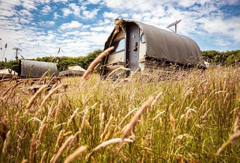 Yha Eden Project   Hostel
