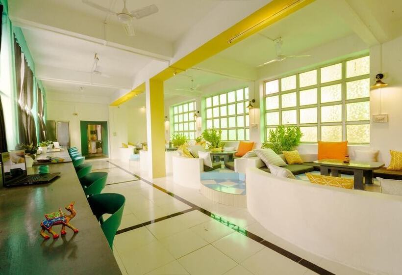 旅馆 Zostel Pushkar