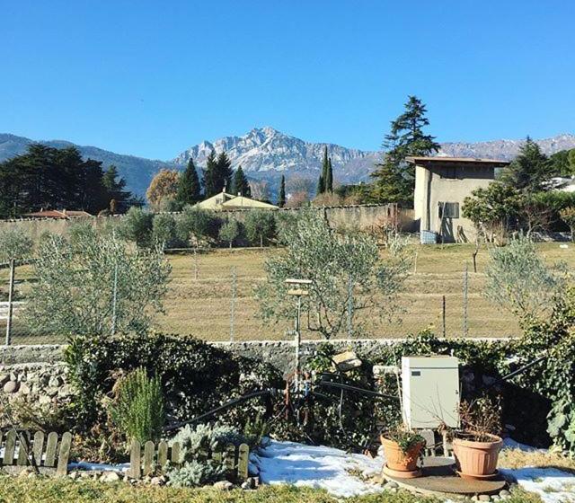 Alle Vigne Bed And Breakfast