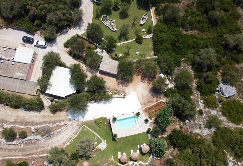 Amoru Bed & Breakfast