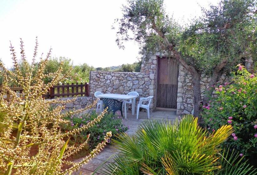 Amoru Bed & Breakfast