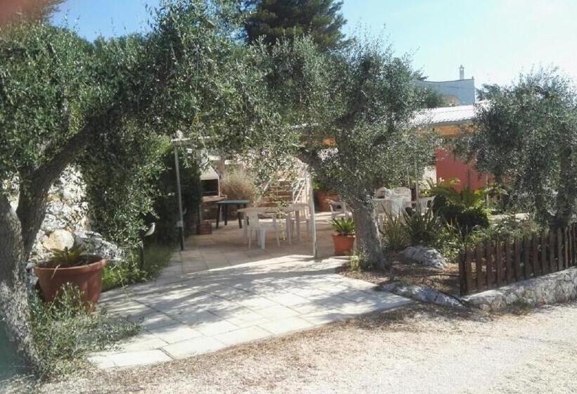 Amoru Bed & Breakfast