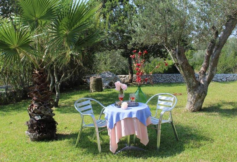 Amoru Bed & Breakfast