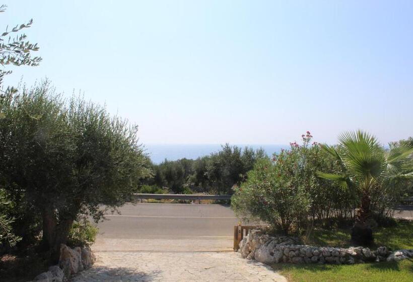 Amoru Bed & Breakfast