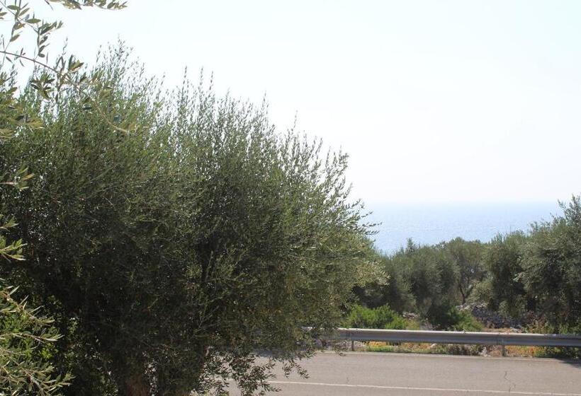 Amoru Bed & Breakfast