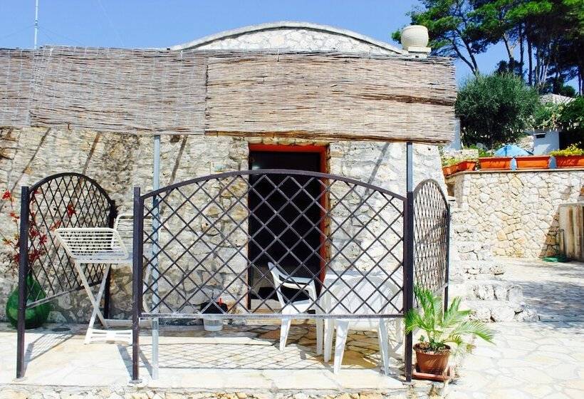 Amoru Bed & Breakfast