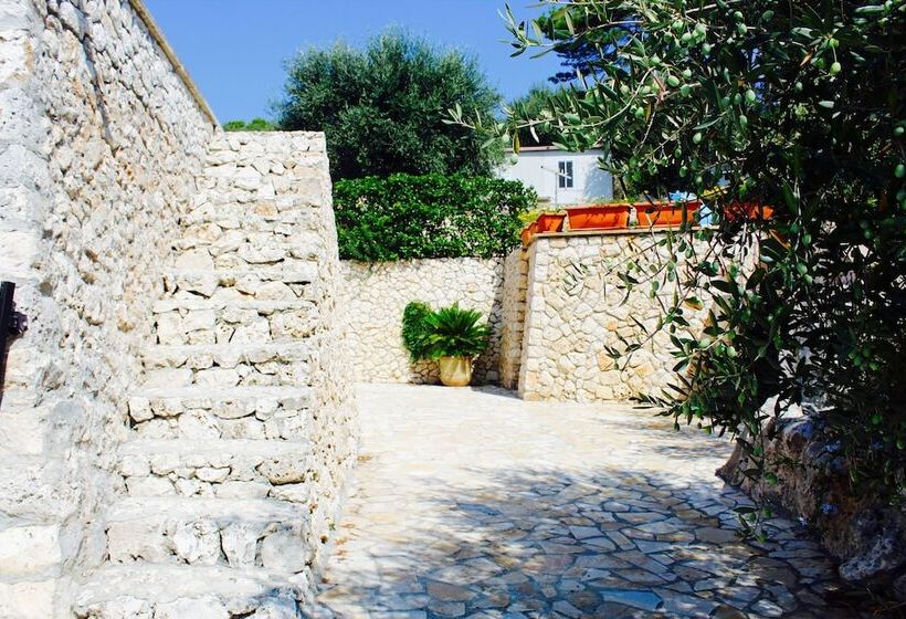 Amoru Bed & Breakfast