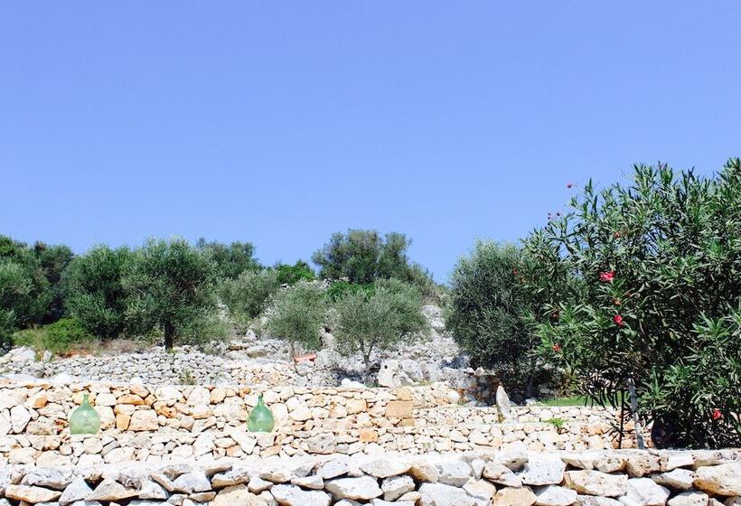 Amoru Bed & Breakfast