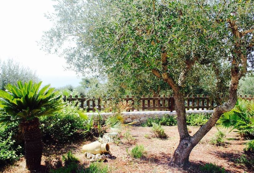 Amoru Bed & Breakfast