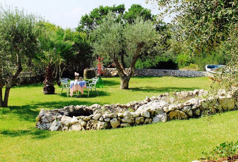 Amoru Bed & Breakfast