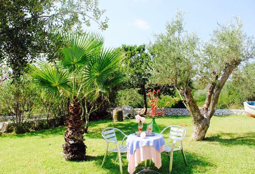 Amoru Bed & Breakfast