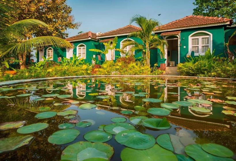 Aquatica Resorts & Spa