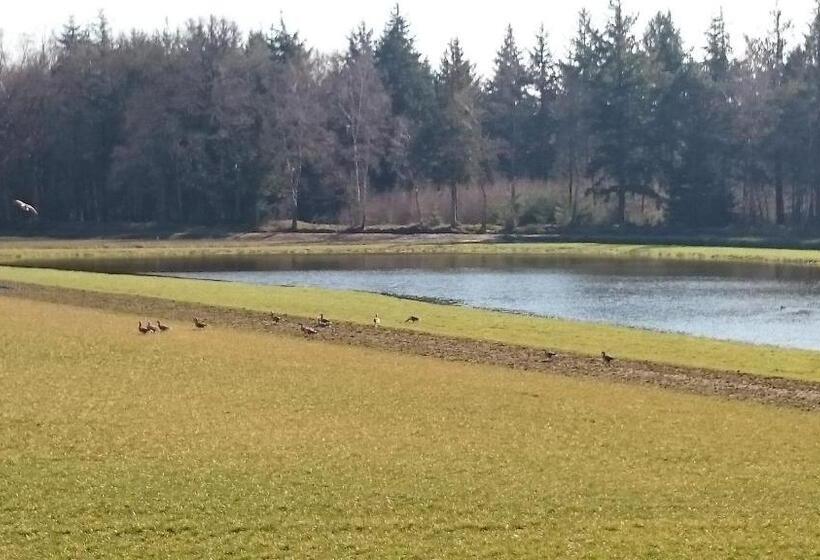 B&b Verwoldsehof  Op De Deel