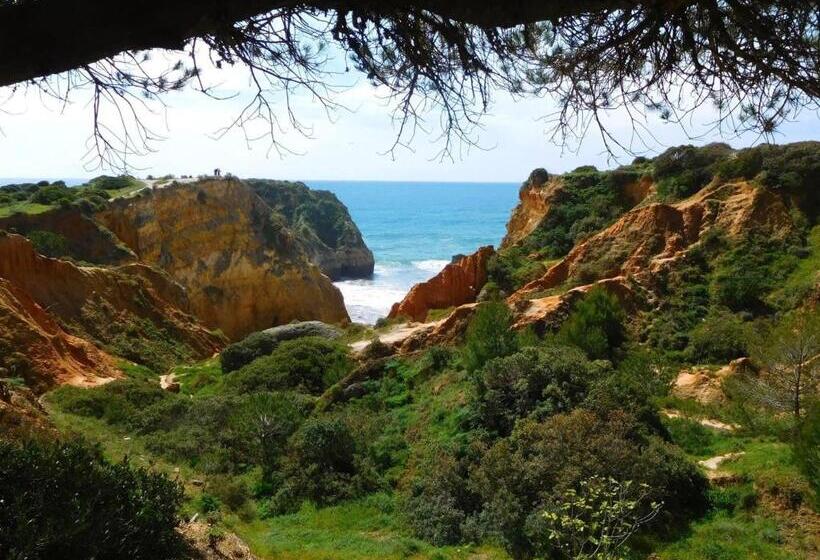 Bed and Breakfast Casa Largo Do Poço Guesthouse