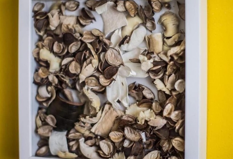 مبيت وإفطار La Casa Del Forte