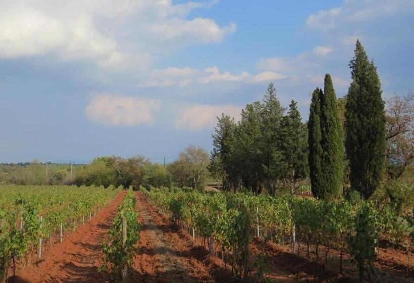 Bed And Breakfast La Grande Lauzade