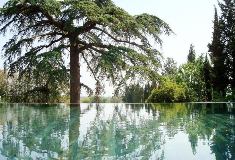 Bed And Breakfast La Grande Lauzade