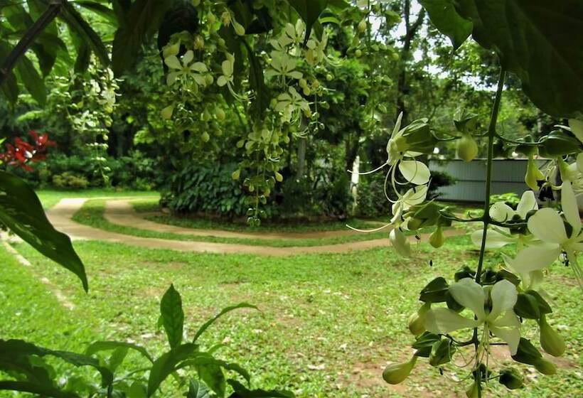 Bed and Breakfast Pura Sanda Villa