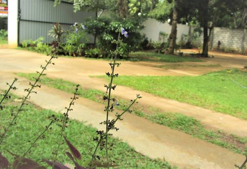 Bed and Breakfast Pura Sanda Villa