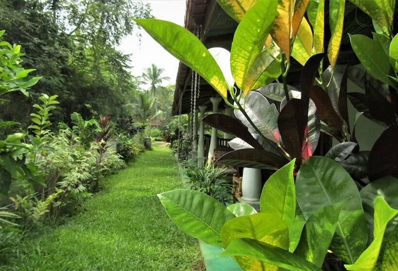 Bed and Breakfast Pura Sanda Villa