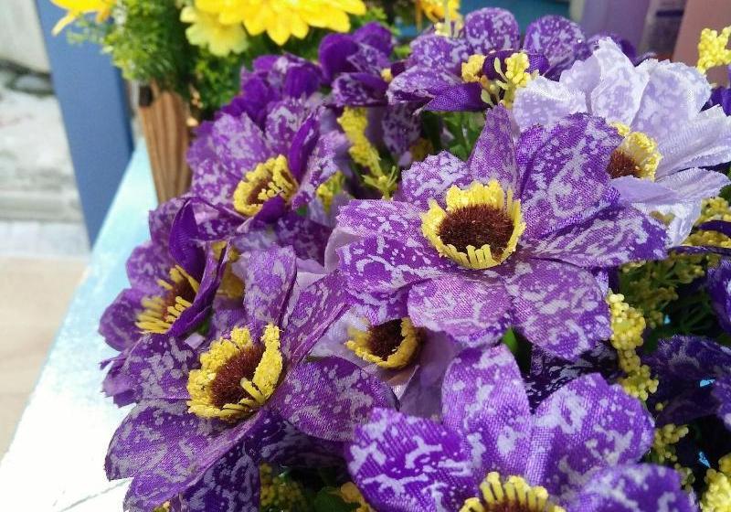 Bed and Breakfast Qing Song Homestay