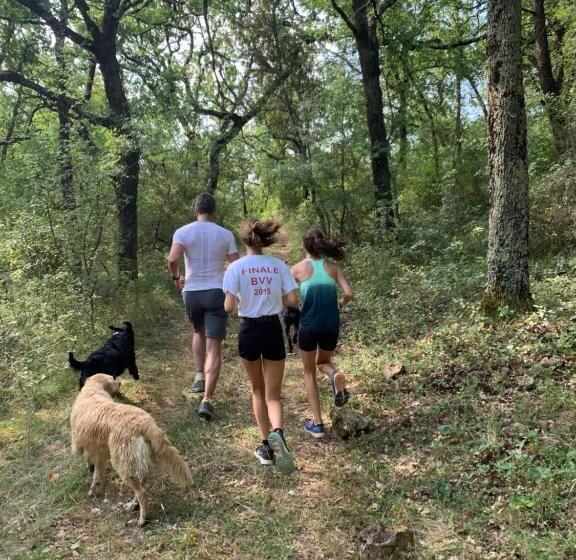 민박 Sous Les Oliviers Jacuzzi Studios De Standing Tout équipés