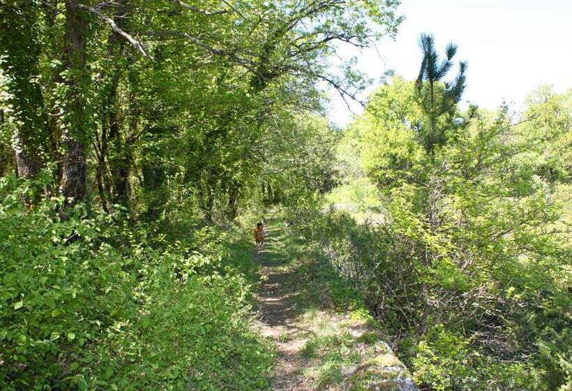 민박 Sous Les Oliviers Jacuzzi Studios De Standing Tout équipés
