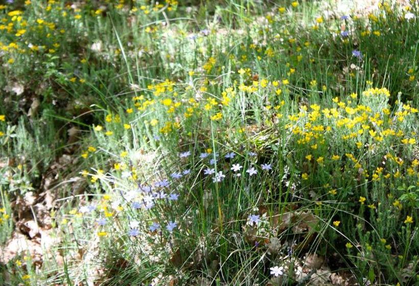 민박 Sous Les Oliviers Jacuzzi Studios De Standing Tout équipés