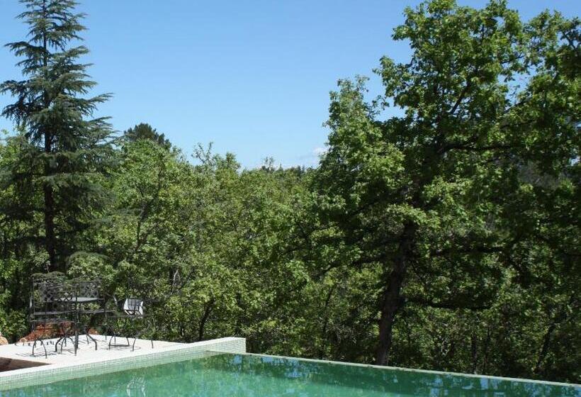 민박 Sous Les Oliviers Jacuzzi Studios De Standing Tout équipés