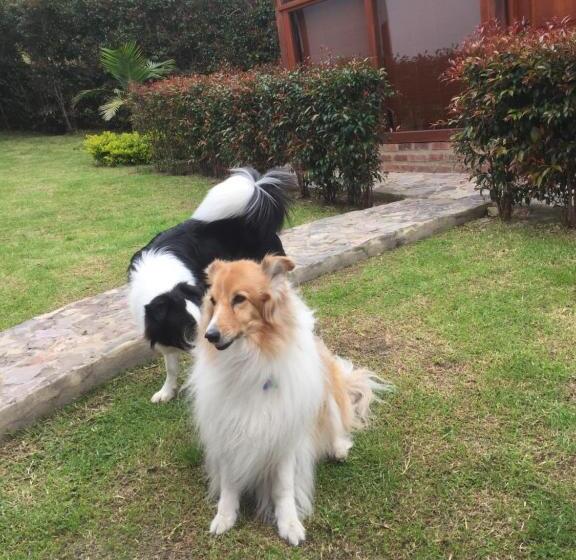 Casa Hotel San Pedro