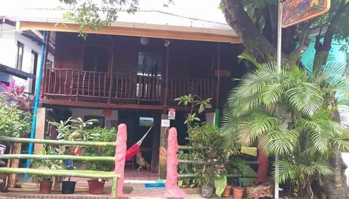 هتل Downtown Montezuma Hostel