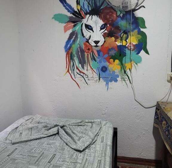 هتل Downtown Montezuma Hostel