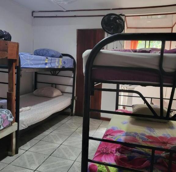 هتل Downtown Montezuma Hostel