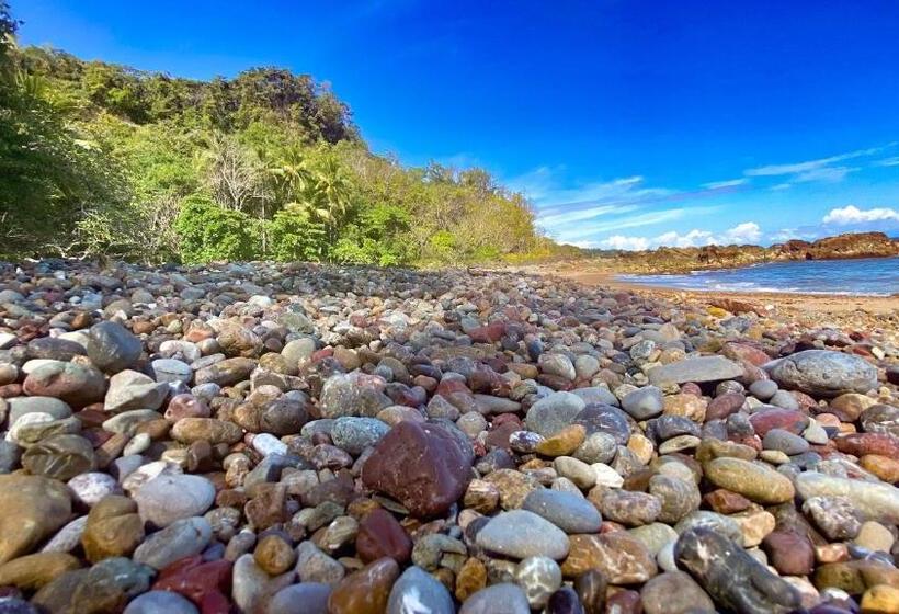 هتل Downtown Montezuma Hostel