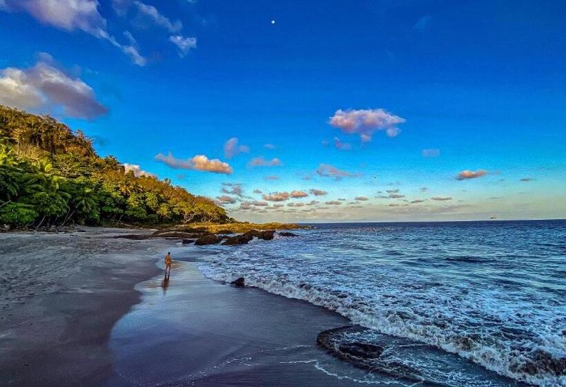 هتل Downtown Montezuma Hostel