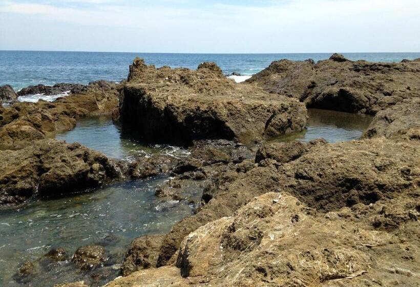 هتل Downtown Montezuma Hostel