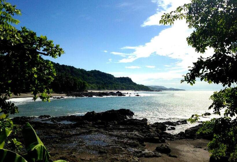 هتل Downtown Montezuma Hostel