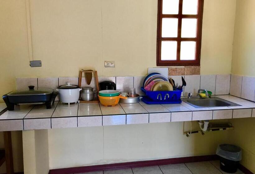 هتل Downtown Montezuma Hostel