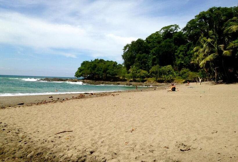 هتل Downtown Montezuma Hostel