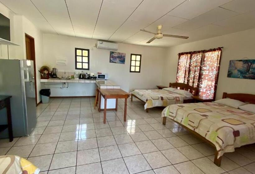 هتل Downtown Montezuma Hostel