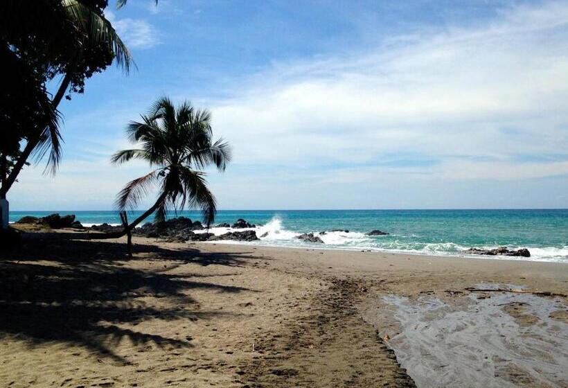 هتل Downtown Montezuma Hostel