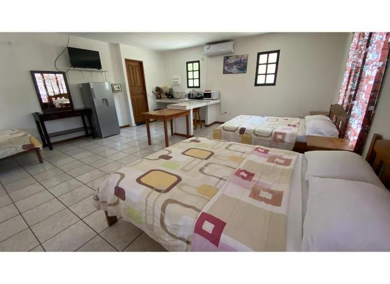 هتل Downtown Montezuma Hostel