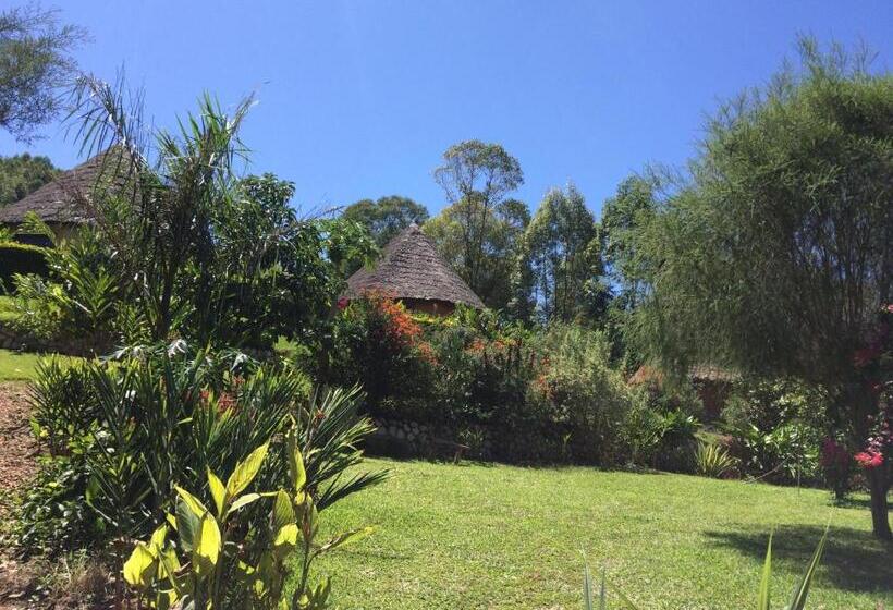 בית מלון כפרי Nyore Hillside Retreat